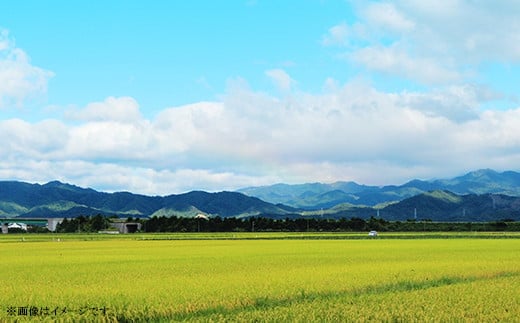 【先行予約】新潟県聖籠産コシヒカリ ひじりまい（聖米）10kg（聖籠地場物産）