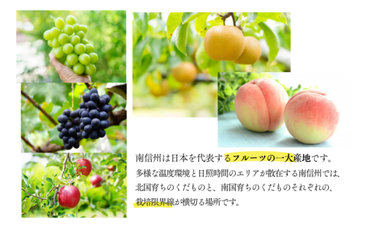 幸水梨　5L（8月頭発送） 2025年産】船橋のなし 幸水 5kg 4L 5L 8～12玉 梨 千葉県 船橋市