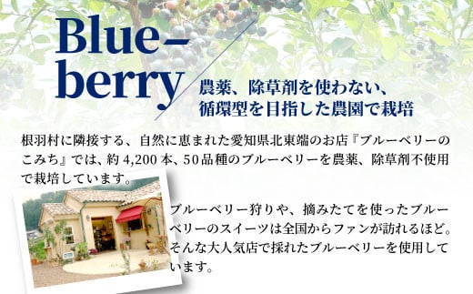 NEW★農薬・除草剤不使用！皮ごと使用！30品種をブレンドした ブルーベリー アイス(80ml)×8個入り