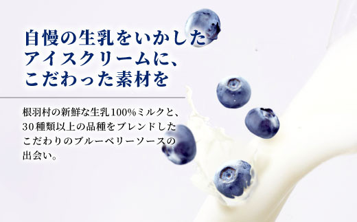 NEW★農薬・除草剤不使用！皮ごと使用！30品種をブレンドした ブルーベリー アイス(80ml)×8個入り