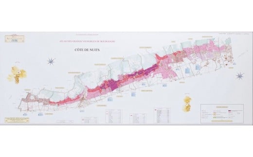 180-1 フランス・ブルゴーニュ地図×播州織ストール【COTE DE NUITS（コート・ド・ニュイ地区）】