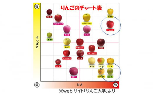 【12月発送】贈答用 サンふじ・王林詰め合わせ 約10kg【青森りんご】