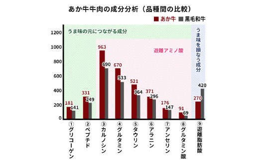 熊本県産GI認証取得/くまもとあか牛100％使用 くまもとあか牛ハンバーグ（150g×10）