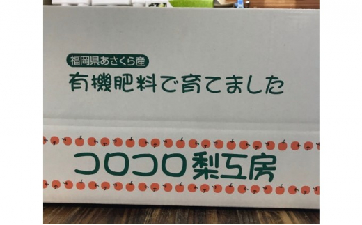 梨 新高梨 甘熟 味に自信あり！！約5kg 5～10玉入 配送不可 離島