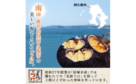 ＜鹿児島県産うに使用＞塩うに2種セット(計2瓶・各50g) 国産 ウニ 雲丹 一汐生うに 福々生うに  海胆 水産加工品【尾塚水産】a-26-5-z