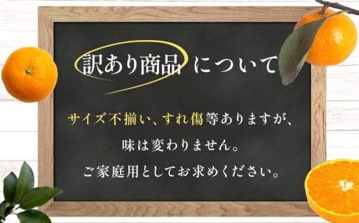 ＜【訳あり】温州みかん（早生）約5kg 数量限定 産地直送＞ ワケアリ 家庭用 みかん ミカン うんしゅうみかん ウンシュウ ワセ 蜜柑 柑橘 フルーツ 果物 果実 くだもの 特産品 旬 玉やま農園 愛媛県 西予市【常温】