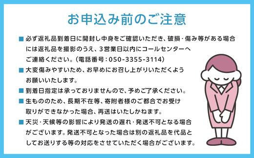 シャイン マスカット 2024年 先行予約 「MiiinoMuscat」4房（約3.2kg）ブドウ 葡萄  岡山 国産 フルーツ 果物 ギフト