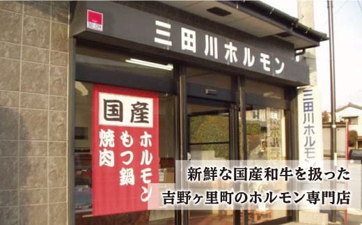 【大容量・味付き】お肉の味にとことんこだわった！！焼き肉4種セット計1kg（和牛ハラミ 400g / 豚ハラミ・丸腸・シマ腸 各200g）吉野ヶ里町/三田川ホルモン専門店 [FAC011]