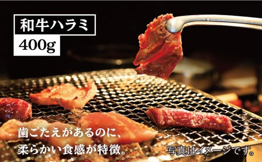 【大容量・味付き】お肉の味にとことんこだわった！！焼き肉4種セット計1kg（和牛ハラミ 400g / 豚ハラミ・丸腸・シマ腸 各200g）吉野ヶ里町/三田川ホルモン専門店 [FAC011]