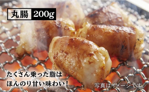 【大容量・味付き】お肉の味にとことんこだわった！！焼き肉4種セット計1kg（和牛ハラミ 400g / 豚ハラミ・丸腸・シマ腸 各200g）吉野ヶ里町/三田川ホルモン専門店 [FAC011]