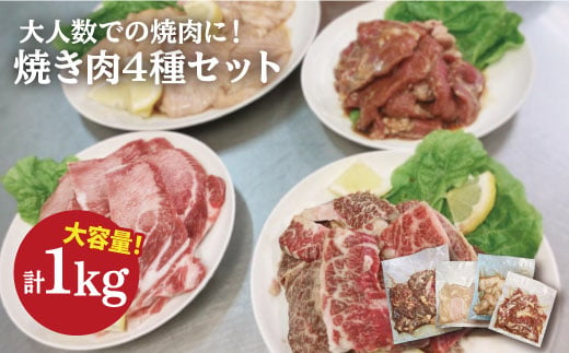 【大容量・味付き】お肉の味にとことんこだわった！！焼き肉4種セット計1kg（和牛ハラミ 400g / 豚ハラミ・丸腸・シマ腸 各200g）吉野ヶ里町/三田川ホルモン専門店 [FAC011]