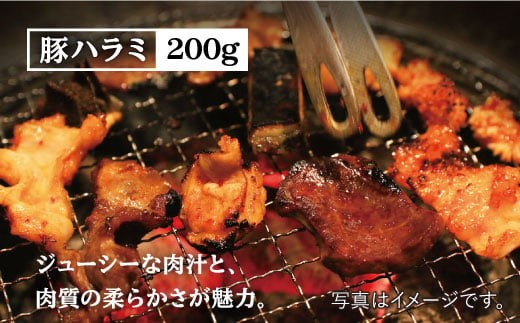 【大容量・味付き】お肉の味にとことんこだわった！！焼き肉4種セット計1kg（和牛ハラミ 400g / 豚ハラミ・丸腸・シマ腸 各200g）吉野ヶ里町/三田川ホルモン専門店 [FAC011]