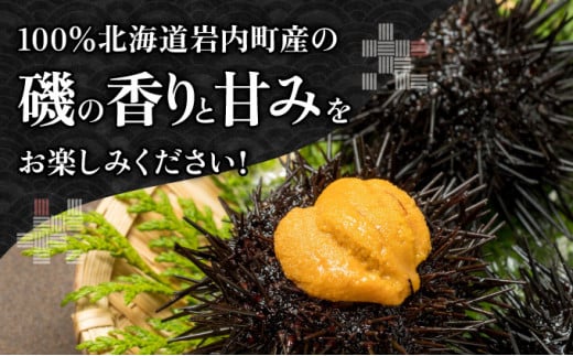 【先行予約】塩水ムラサキウニ100g×1パック 北海道岩内沖産 【2024年7月上旬頃～8月下旬頃発送】 F21H-568