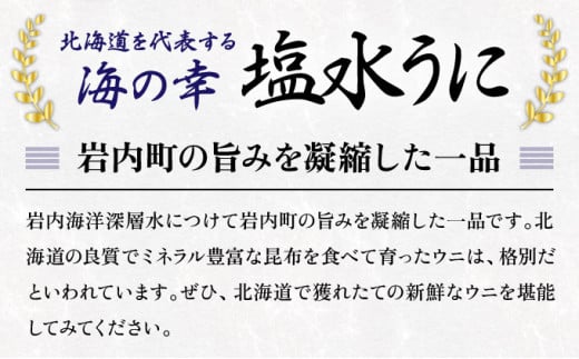 【先行予約】塩水ムラサキウニ100g×1パック 北海道岩内沖産 【2024年7月上旬頃～8月下旬頃発送】 F21H-568