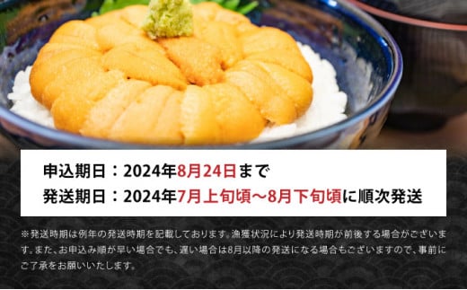 【先行予約】塩水ムラサキウニ100g×1パック 北海道岩内沖産 【2024年7月上旬頃～8月下旬頃発送】 F21H-568