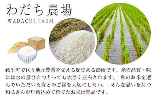 元気つくし 6kg 1袋3kg入り わだち農場《60日以内に出荷予定(土日祝除く)》福岡県 鞍手郡 鞍手町 米 コメ 元気つくし 袋 ちらし寿司 こめ