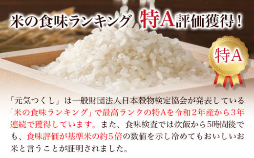 元気つくし 6kg 1袋3kg入り わだち農場《60日以内に出荷予定(土日祝除く)》福岡県 鞍手郡 鞍手町 米 コメ 元気つくし 袋 ちらし寿司 こめ