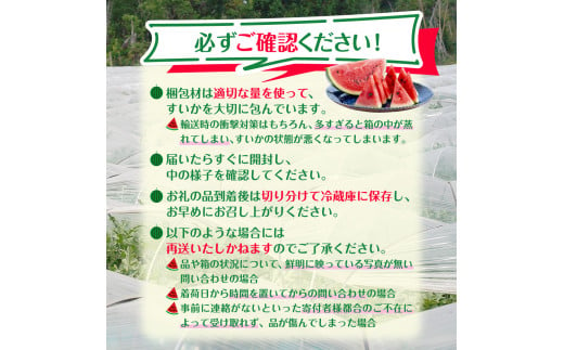 ＼ 先行予約 ／【 数量限定 】[大人気!!]  すいか （ 祭りばやし ） L 2玉 2025年6月以降順次発送 西瓜 スイカ 八街すいか 2025年先行予約 フルーツ先行予約