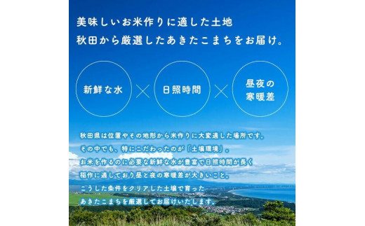 家計お助け米 あきたこまち 20kg 米 一等米 訳あり わけあり 返礼品 こめ コメ 人気 おすすめ ランキング 20キロ 人気 おすすめ ランキング グルメ 故郷 ふるさと 納税 秋田 潟上 潟上市 【こまちライン】