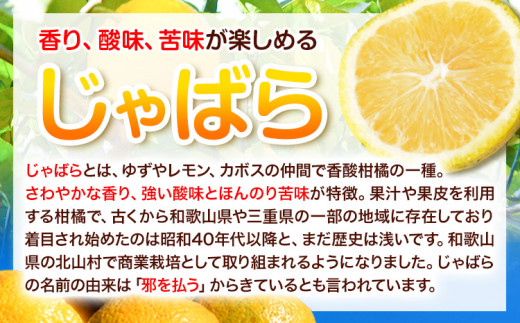 和歌山県の柑橘じゃばらパウダー 100g 澤株式会社 《90日以内に出荷予定》和歌山県 日高町 じゃばら パウダー 柑橘