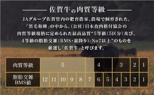 ＜定期便12回＞佐賀牛切り落とし 計12kg (1kg×12回) ／ 佐賀牛 国産和牛 大町町 焼肉 肉 お肉 にく 国産 佐賀牛 切り落とし ステーキ 贈り物 ギフト 佐賀県 送料無料 冷凍 焼き肉 牛肉