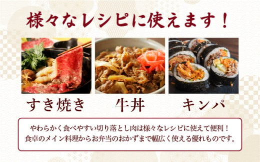 ＜定期便12回＞佐賀牛切り落とし 計12kg (1kg×12回) ／ 佐賀牛 国産和牛 大町町 焼肉 肉 お肉 にく 国産 佐賀牛 切り落とし ステーキ 贈り物 ギフト 佐賀県 送料無料 冷凍 焼き肉 牛肉