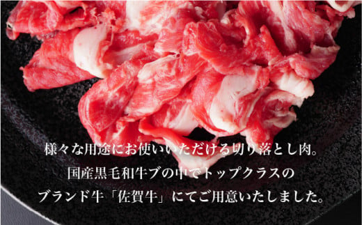 ＜定期便12回＞佐賀牛切り落とし 計12kg (1kg×12回) ／ 佐賀牛 国産和牛 大町町 焼肉 肉 お肉 にく 国産 佐賀牛 切り落とし ステーキ 贈り物 ギフト 佐賀県 送料無料 冷凍 焼き肉 牛肉