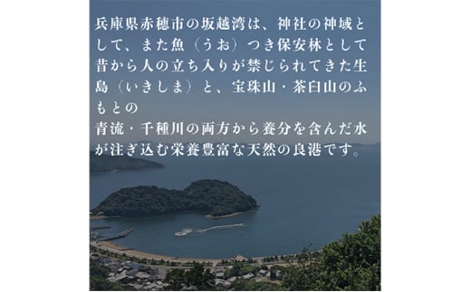 たこめしの素（1缶）、かきめしの素（2缶）のセット