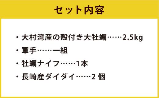 大村湾産 殻付き 牡蠣 (加熱用) 2.5kg Aセット 軍手・ナイフ付き