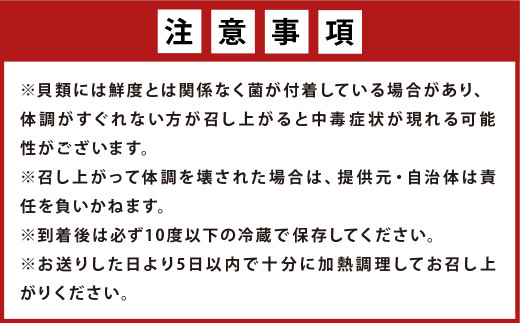 大村湾産 殻付き 牡蠣 (加熱用) 2.5kg Aセット 軍手・ナイフ付き