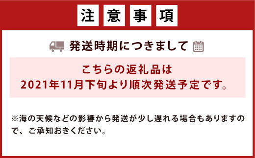 大村湾産 殻付き 牡蠣 (加熱用) 2.5kg Aセット 軍手・ナイフ付き