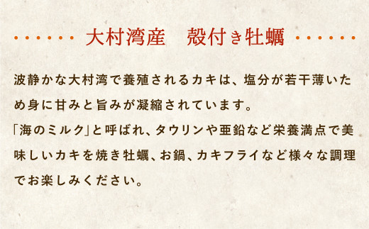 大村湾産 殻付き 牡蠣 (加熱用) 2.5kg Aセット 軍手・ナイフ付き