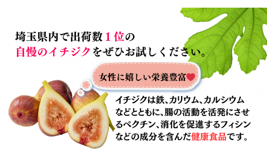 【期間限定】いちじく 冷蔵 約400g(4～6個程度)×4パック 計約1.6kg  桝井ドーフィン 無花果   川島町いちじく生産組合 川島町産 特産 埼玉県 川島町 