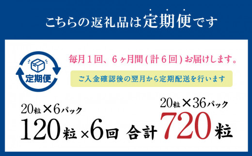 【6ヶ月定期便】あらびき いわし つみれ