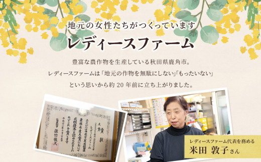 昔ながらの くるみゆべし 10個入（箱入り）【レディースファーム】 ゆべし レディース ファーム 秋田県 秋田 あきた 鹿角市 鹿角 かづの 国産 グルメ ギフト スイーツ ランキング