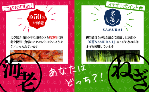 「冠生園」プリプリ海老・九条ネギ餃子食べ比べセット48個（12個入×各2パック）