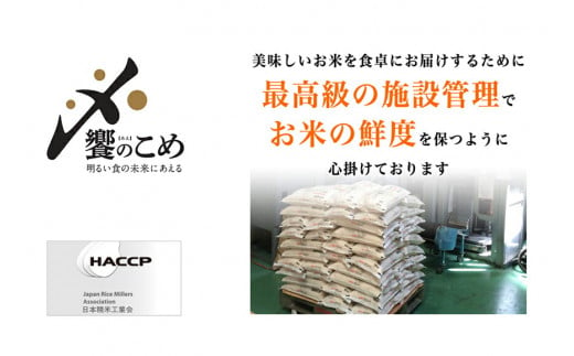 【期間限定発送】 米 令和6年 2kg ×5種 計 10kg 精米 食べ比べ [中橋商事 石川県 宝達志水町 38600854] こしひかり コシヒカリ お米 石川 こめ コメ 白米 10キロ ゆめみづほ ひゃくまん穀 つきあかり のとひかり