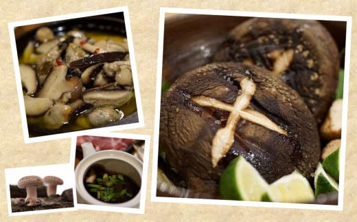 Y-1005 【訳あり】カルシの森特選 原木しいたけ（生）約１kg