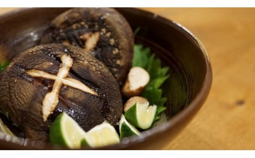 Y-1005 【訳あり】カルシの森特選 原木しいたけ（生）約１kg