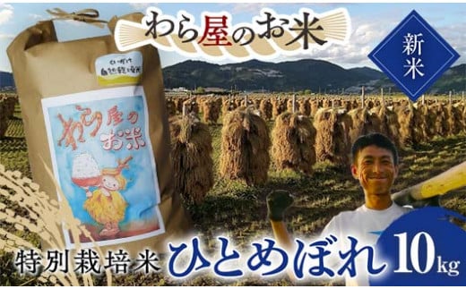 【令和6年産 新米 先行予約】 【わら屋のお米】 特別栽培米 ひとめぼれ 10kg 《令和6年10月下旬～発送》 『おがわ藁農園』 米 白米 精米 ご飯 農家直送 山形県 南陽市  [2071-R6]