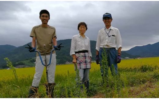 【令和6年産 新米 先行予約】 【わら屋のお米】 特別栽培米 ひとめぼれ 10kg 《令和6年10月下旬～発送》 『おがわ藁農園』 米 白米 精米 ご飯 農家直送 山形県 南陽市  [2071-R6]