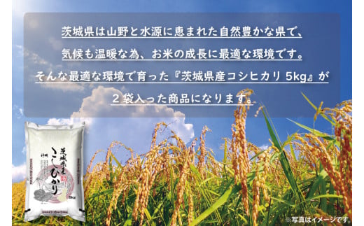 令和6年産茨城コシヒカリ5㎏×2【お米 こめ 米 こしひかり 茨城県 茨城県産 20000円以下 2万円以下】（LL-1）