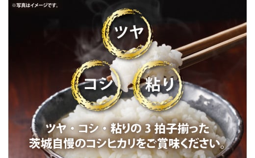 令和6年産茨城コシヒカリ5㎏×2【お米 こめ 米 こしひかり 茨城県 茨城県産 20000円以下 2万円以下】（LL-1）