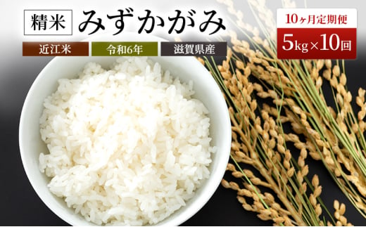 【定期便】令和6年産　豊かな郷の近江米みずかがみ 5kg×10ヶ月連続