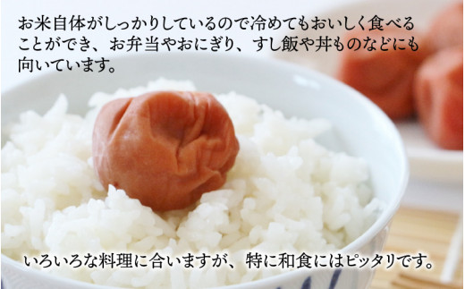 【令和6年産】【3ヶ月定期便】越前大野産 一等米 帰山農園の「てんたかく」 5kg 【選べる精米方法】