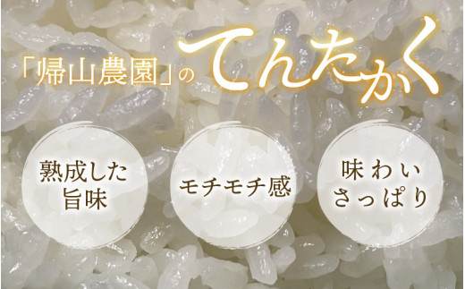 【令和6年産】【3ヶ月定期便】越前大野産 一等米 帰山農園の「てんたかく」 5kg 【選べる精米方法】