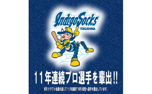 【新高3玉 サインボール】 先行予約 徳島 インディゴソックス コラボ 梨 グッズ セット 《2024年9月下旬～順次発送》 果物 フルーツ 野球 四国アイランドリーグ 阿波市