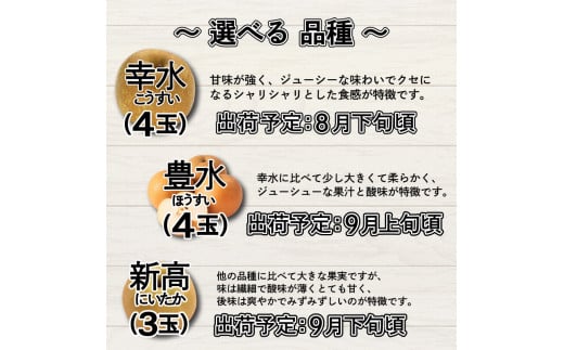 【新高3玉 サインボール】 先行予約 徳島 インディゴソックス コラボ 梨 グッズ セット 《2024年9月下旬～順次発送》 果物 フルーツ 野球 四国アイランドリーグ 阿波市