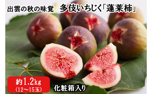 出雲の秋の味覚　多伎いちじく「蓬莱柿」化粧箱入り【1-236】