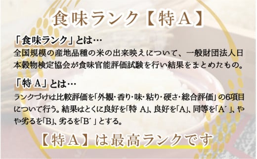 【箱根神社御用達】越前九頭龍米（5kg×2袋） 精米 令和6年産 新米 [B-006017]